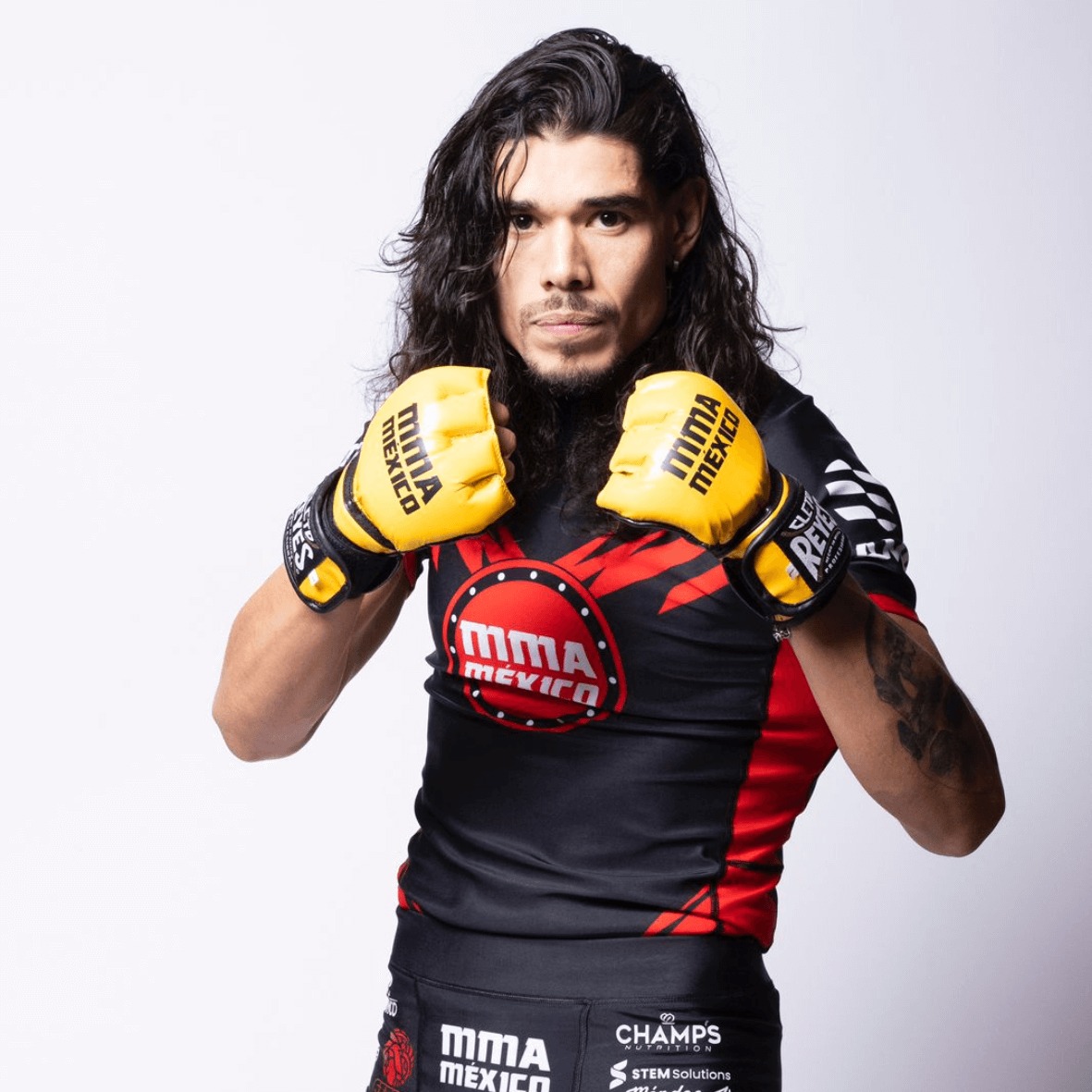Guantes MMA Mexico - Lobo Diaz