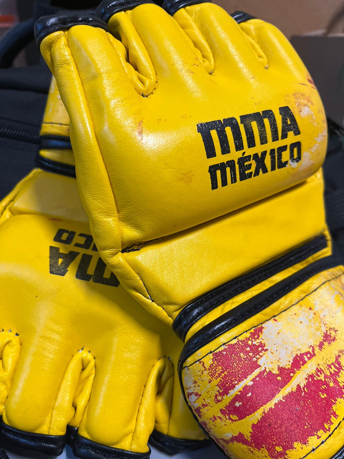 Guantes MMA Mexico - Lobo Diaz