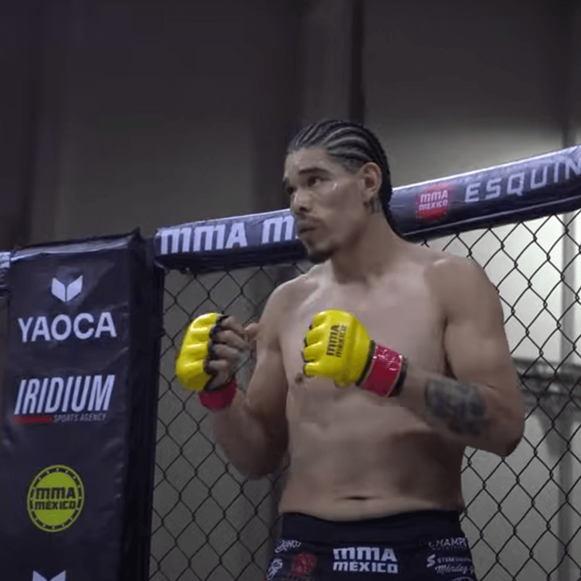 Guantes MMA Mexico - Lobo Diaz